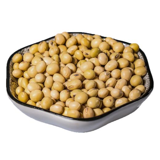 【食品】云南本地黄豆正宗老品种黄豆非转基因更健康500克/袋真空包装 商品图5