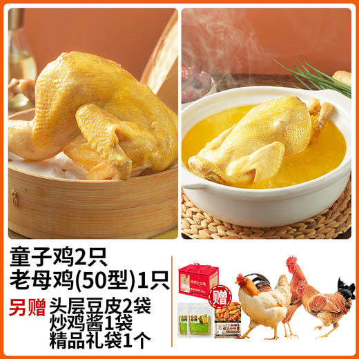 【杨博士 1蒸1炒1炖汤】组合套餐 :无抗老母鸡*1+无抗童子鸡*2 豆皮*2+炒鸡酱*1+礼盒 商品图1