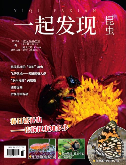 2025年《一起发现》全年10本一次发出 商品图4