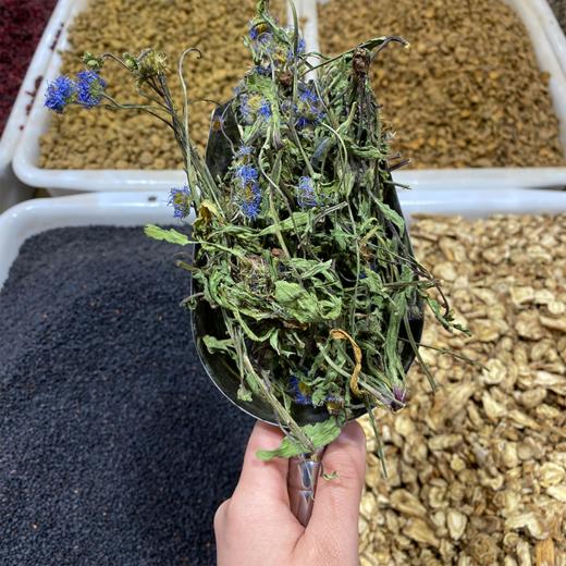 灯盏花 当季新货 农家生晒 中药材 商品图4