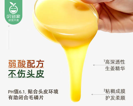 琴叶生姜保湿侧柏叶防脱发洗发水（1000ml/瓶）生产日期: 2026年1月 商品图2