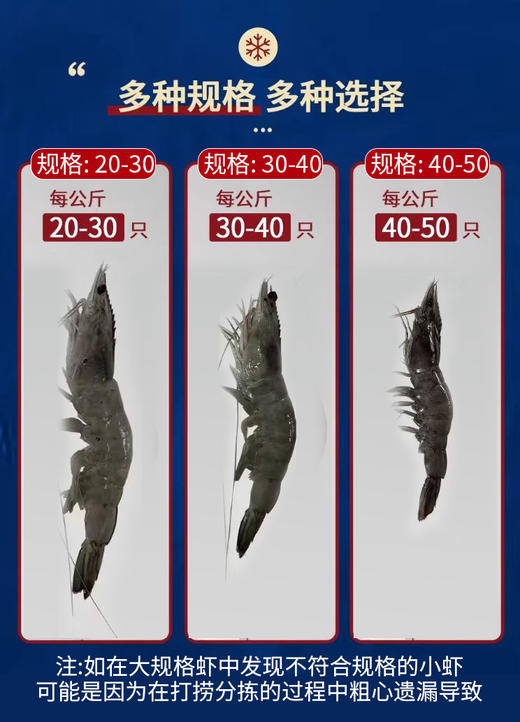 厄瓜多尔南美白虾 30-40规格（每公斤30只-40只） 净重1.5kg/盒（一盒有45只-60只） 商品图1