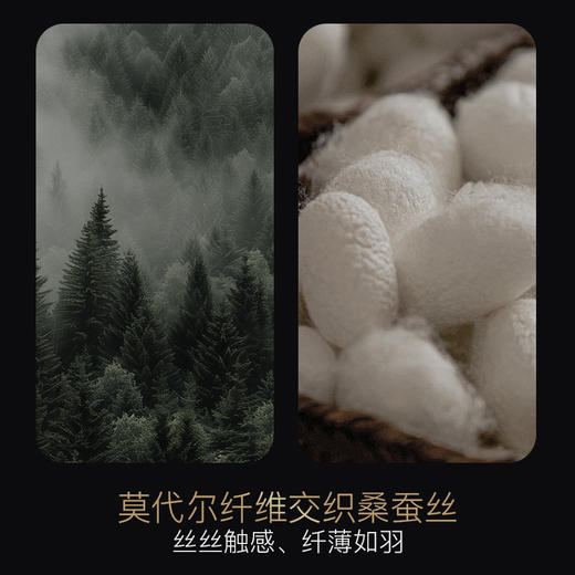 【防臭袜标准制定者】夏季薄款桑蚕丝莫代尔透气消臭袜！防臭袜开创者！ 商品图1