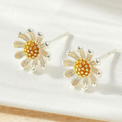 纪念日百货新款耳钉S925耳环时尚小花朵耳钉161902064 商品图0