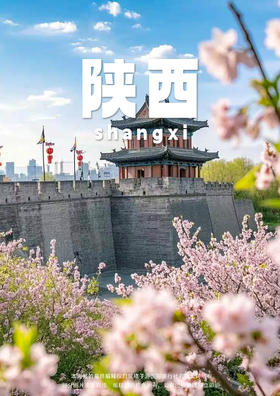 【帝道牡丹】西安双飞6天