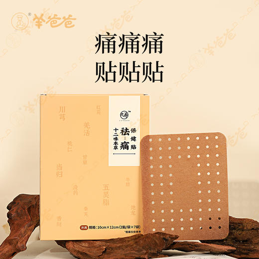 【十二味本草祛痛保健贴】几养|本草通络 哪里痛贴哪里，草本药贴味，介意者慎拍！ 商品图1