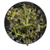 灯盏花 当季新货 农家生晒 中药材 商品缩略图1