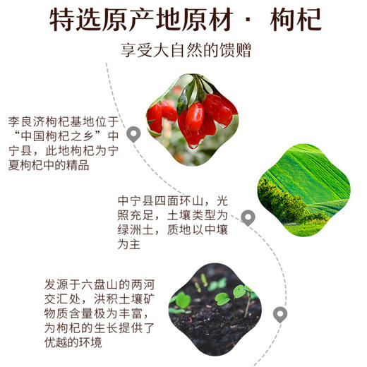 【熬夜加班 亏损透支必备】李良济人参五宝茶8g*15袋 商品图4