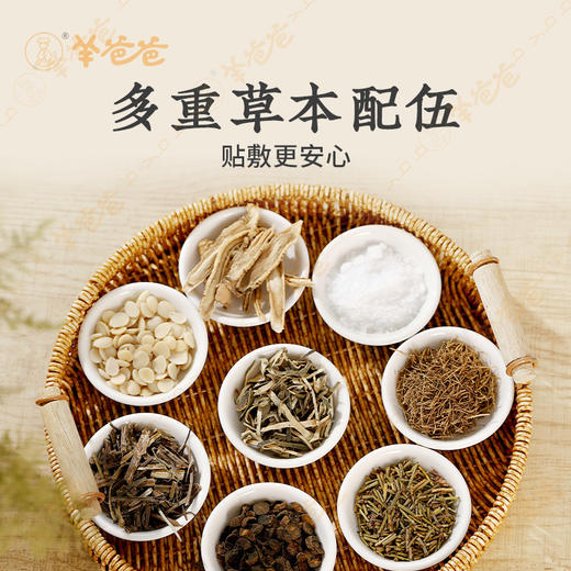 【小儿咳喘保健贴】敷贴|12贴(2贴/袋×6袋) 妈妈不用再愁小儿咳咳 商品图2