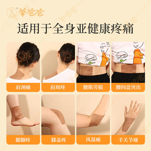 【十二味本草祛痛保健贴】几养|本草通络 哪里痛贴哪里，草本药贴味，介意者慎拍！ 商品图2
