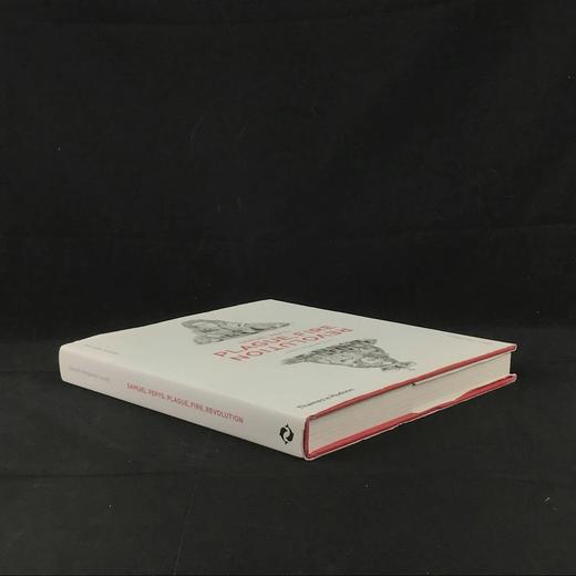 塞缪尔·佩皮斯：瘟疫，火灾，革命 260余幅插图 精装16开 商品图1