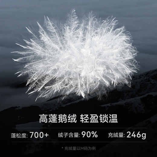 KAILAS凯乐石 户外运动 蒙塔纳男款中长羽绒服 KG2443136 商品图2