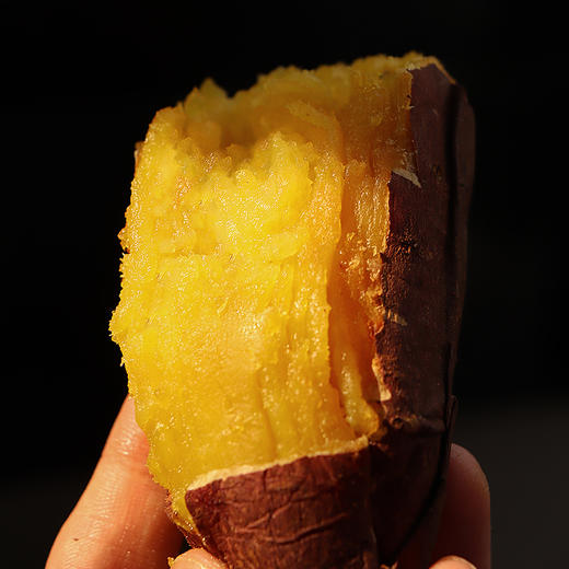 【榴莲地瓜】榴莲蜜薯黄金番薯黄心红薯新鲜红薯现挖地瓜蔬菜 商品图4