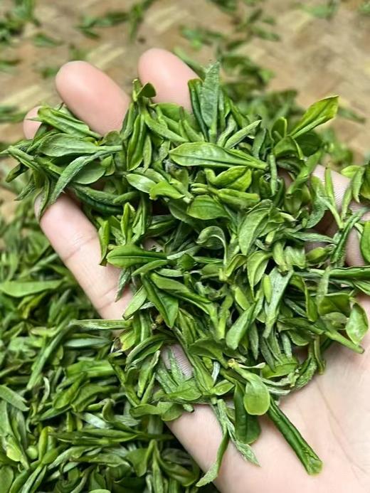 2025明前狮峰龙井 商品图5