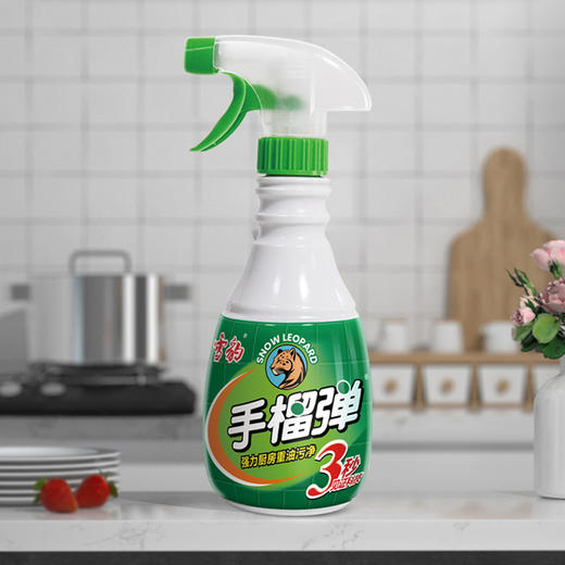 雪豹生态家清  强力型厨房重油污净清洁剂400g*2厨房免拆重油污净抽油烟机3321-1 商品图1