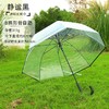 【自动透明雨伞】直杆透明伞，透明环保伞布，视野更宽阔，8骨，16骨稳定伞架结构结实，防水抗风，穹顶鸟笼结构，360°遮挡遇水。半自动开关，轻松开伞，避免撑伞时手臂被淋湿！ 商品缩略图9