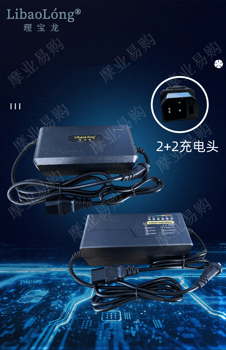 理宝龙2+2充电器