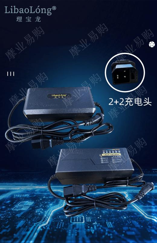 理宝龙2+2充电器 商品图0