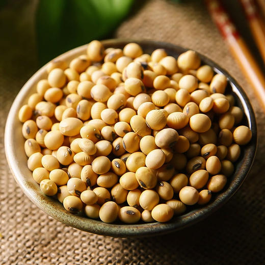 【食品】云南本地黄豆正宗老品种黄豆非转基因更健康500克/袋真空包装 商品图4