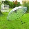 【自动透明雨伞】直杆透明伞，透明环保伞布，视野更宽阔，8骨，16骨稳定伞架结构结实，防水抗风，穹顶鸟笼结构，360°遮挡遇水。半自动开关，轻松开伞，避免撑伞时手臂被淋湿！ 商品缩略图3
