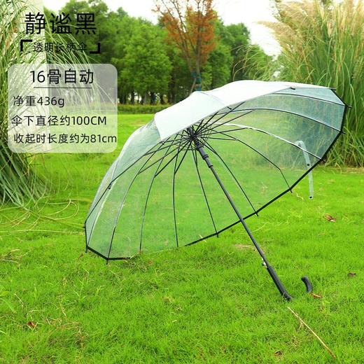 【自动透明雨伞】直杆透明伞，透明环保伞布，视野更宽阔，8骨，16骨稳定伞架结构结实，防水抗风，穹顶鸟笼结构，360°遮挡遇水。半自动开关，轻松开伞，避免撑伞时手臂被淋湿！ 商品图3