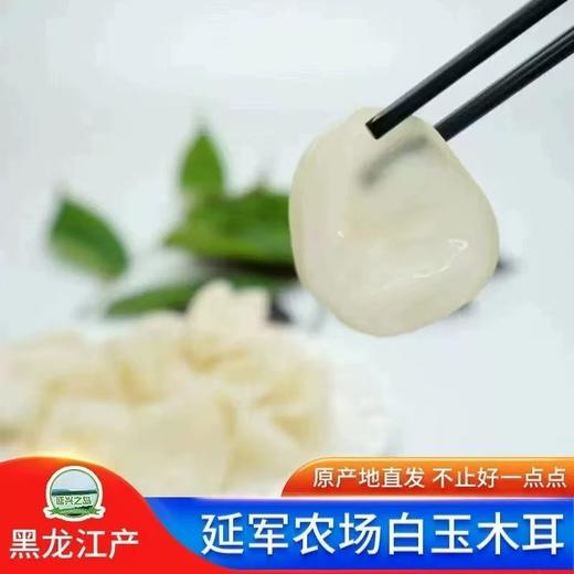【爽脆口感】黑龙江有机白玉木耳  源头产地直发 厨房食材 吃法多样250g/罐 商品图1