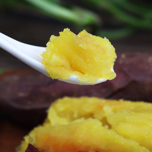 【榴莲地瓜】榴莲蜜薯黄金番薯黄心红薯新鲜红薯现挖地瓜蔬菜 商品图2