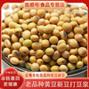 【食品】云南本地黄豆正宗老品种黄豆非转基因更健康500克/袋真空包装 商品缩略图0