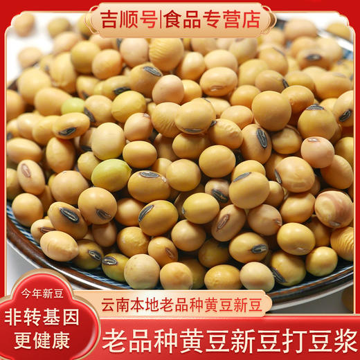 【食品】云南本地黄豆正宗老品种黄豆非转基因更健康500克/袋真空包装 商品图0