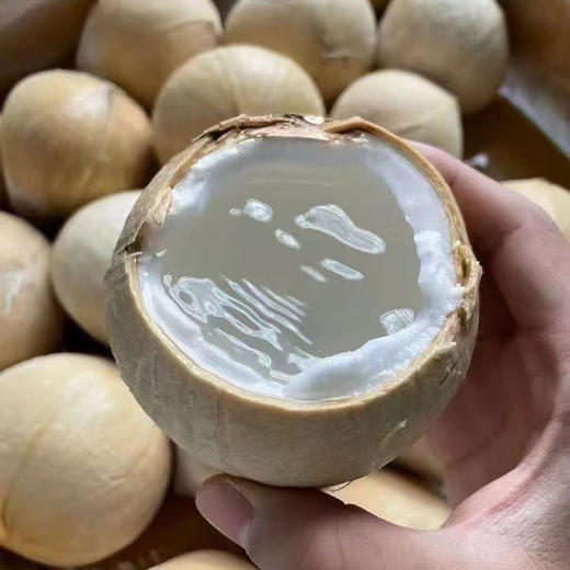 泰国椰皇 一箱9个 商品图4