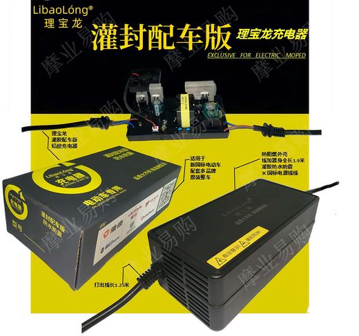 理宝龙灌胶版充电器 商品图0