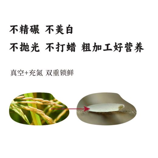 【2025年秋收】谦益香畴玉针香5斤 谦益虚心谷农场 山地冷泉灌溉 自然农耕 米粒似针 晶莹如玉 米香浓厚“超泰米” 商品图6