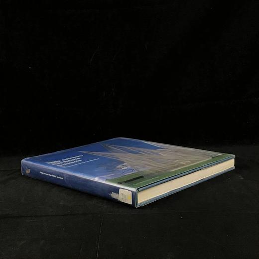 菲利普·约翰逊/艾伦·理奇建筑 数百幅插图 精装16开 商品图1