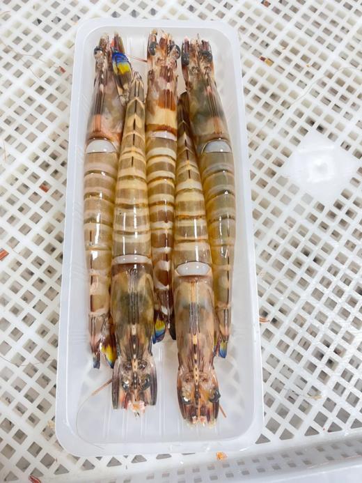 & 人气爆款👉深海大斑节虾🦐，虾青素的含量贼高，送礼可礼盒打包✅活冻鲜发 商品图4