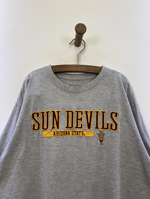 Champion 冠军 绣花 LOGO 短袖T恤 _SST(L) 商品图1