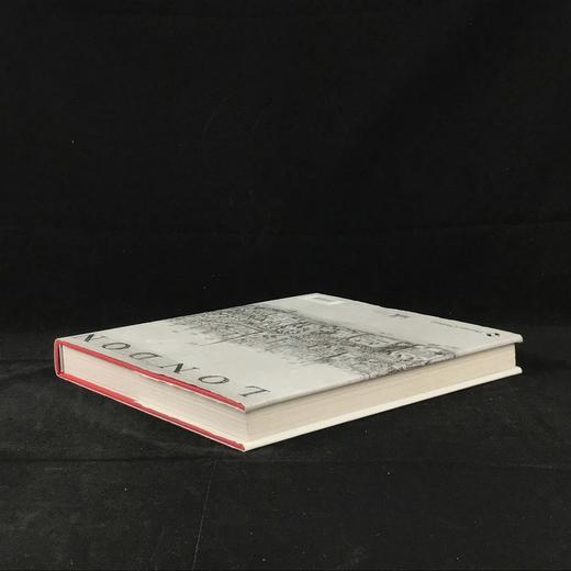 塞缪尔·佩皮斯：瘟疫，火灾，革命 260余幅插图 精装16开 商品图2