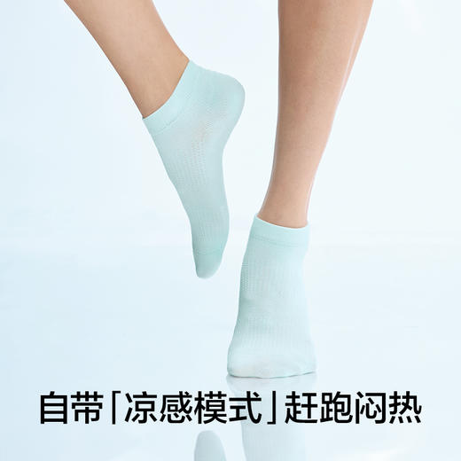 【新品上新】【网眼透气】有棵树夏季薄款凉感女士短袜5双装-WS3020 商品图1