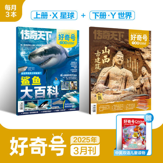 【混知推荐】《好奇号》杂志12期 百年经典Cricket Media蟋蟀童书科普系列中文翻译版  6-12岁适读 商品图1