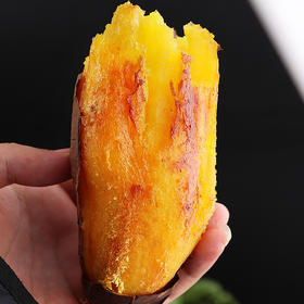 【榴莲地瓜】榴莲蜜薯黄金番薯黄心红薯新鲜红薯现挖地瓜蔬菜