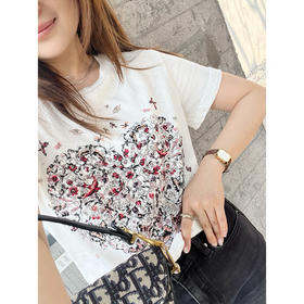 Di*r 25 春夏 T 恤|满满手工刺绣