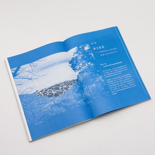 《社会学看中国：中国社会学通识课》 渠敬东 等 著 商品图8