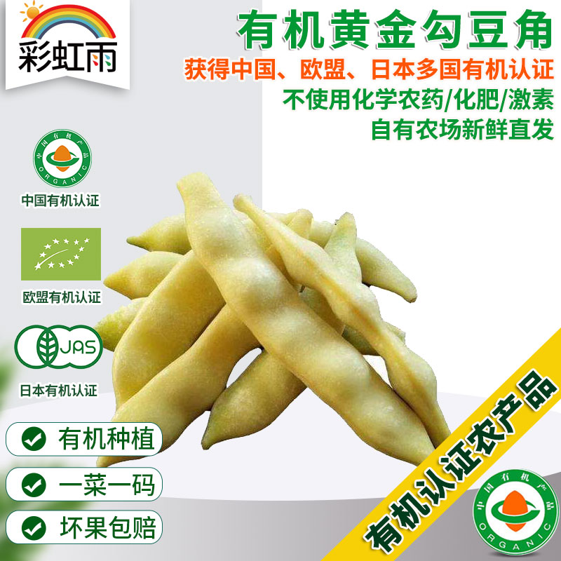 彩虹雨 新鲜青菜 有机蔬菜 黄金勾豆角250g  京津冀满百包邮