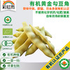 彩虹雨 新鲜青菜 有机蔬菜 黄金勾豆角250g  京津冀满百包邮 商品缩略图0