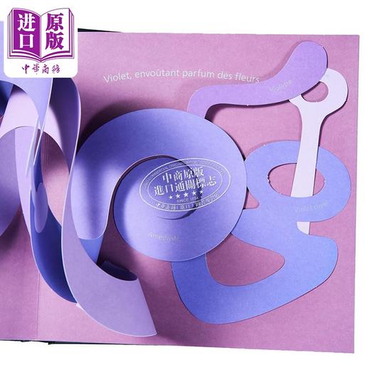 【中商原版】【法文版】法文立体书 颜色 立体书大师David A Carter设计 法文原版 Couleur 商品图2