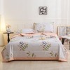 【店庆提前购】10楼恐龙 全棉印花夏被 200*230cm 吊牌价1180元 活动价199元 商品缩略图0
