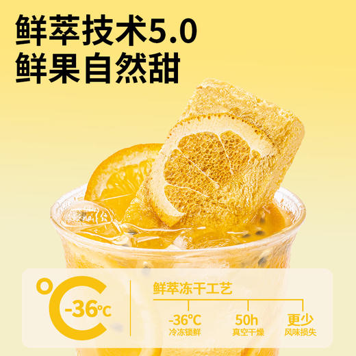 水獭吨吨 全系列果茶混合（6枚盒装）90g 商品图4