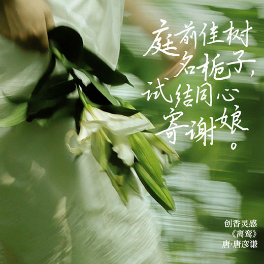 寻遇 栀子同心香水 商品图4