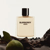 【海豚美购】Burberry 巴宝莉 骏勇之心男士淡香水100ml 商品缩略图2