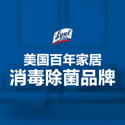 【2026年11月到期】Lysol乐守家居表面清洁卫生湿巾80片柠檬微风 商品图5