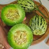 【绿宝甜瓜】山东绿宝甜瓜 绿宝花美人甜瓜 3斤/5斤装 商品缩略图8